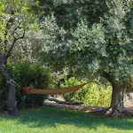 Td Trulli Della Magnolia Trulli W Amazing Garden Ferienhaus *