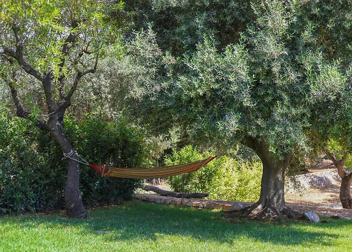 Td Trulli Della Magnolia Trulli W Amazing Garden Holiday home *